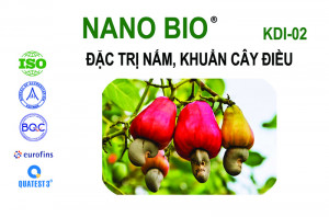 NANO BIO: ĐẶC TRỊ, phòng chống bệnh do nấm, vi khuẩn gây bệnh cho cây Điều, chai 250, 500, 1.000, 5.000ml